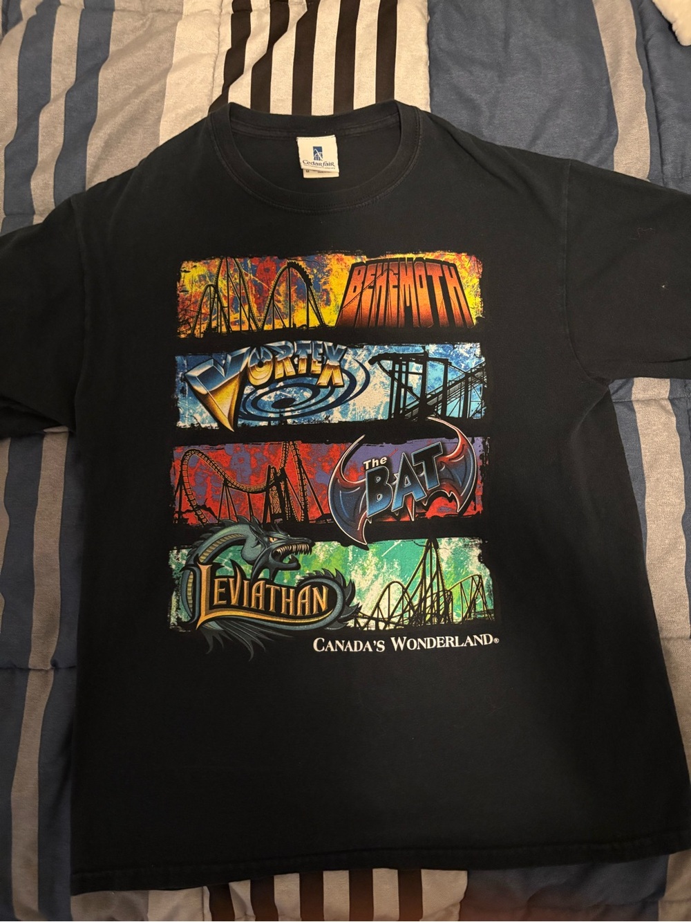 Vintage Canada's Wonderland Black Graphic Tee
